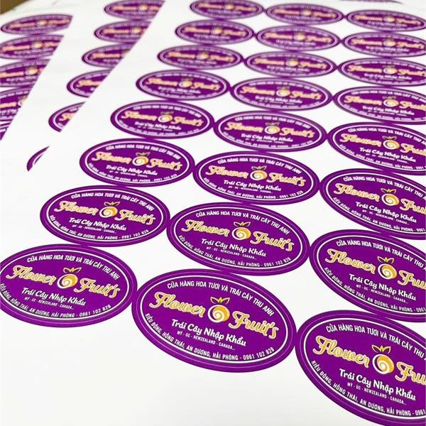 Thiết kế bìa đĩa, nhãn đĩa CD PVMedia